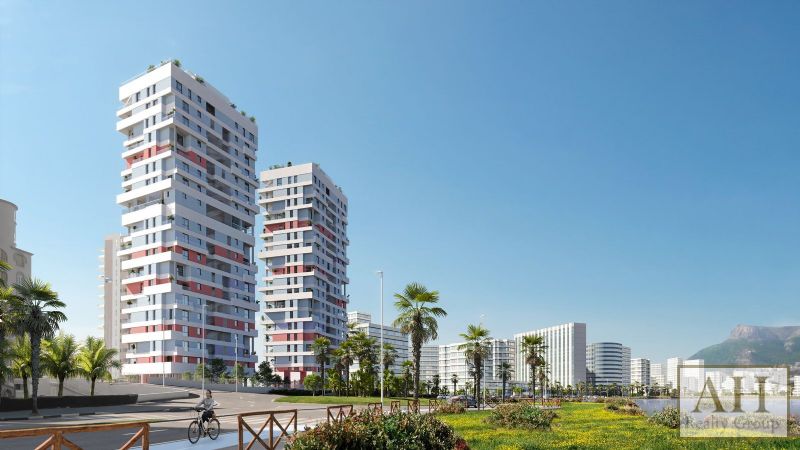 photo_3